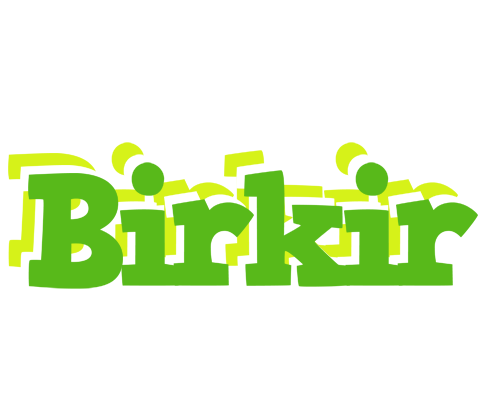 Birkir picnic logo