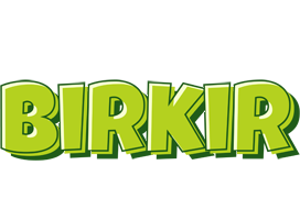 Birkir summer logo