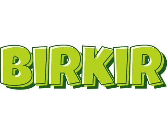 Birkir summer logo