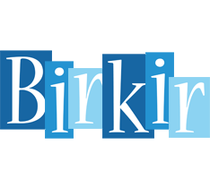 Birkir winter logo