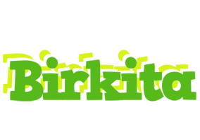 Birkita picnic logo