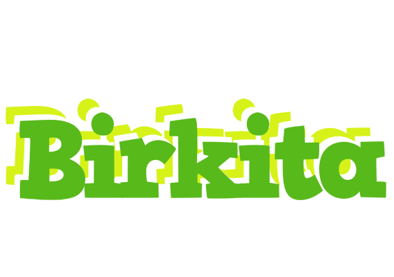 Birkita picnic logo