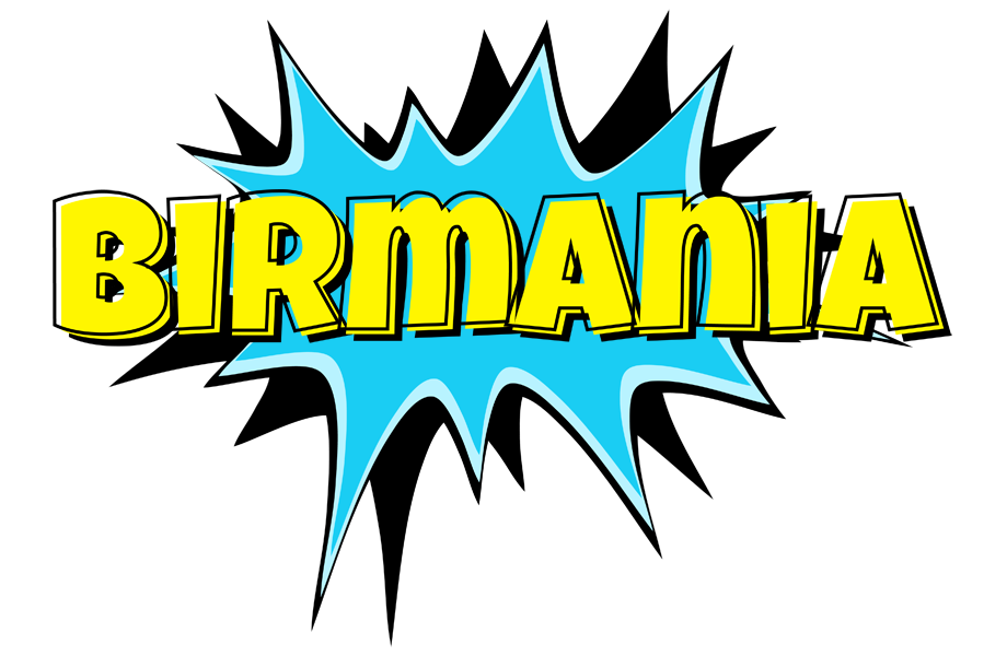 Birmania amazing logo