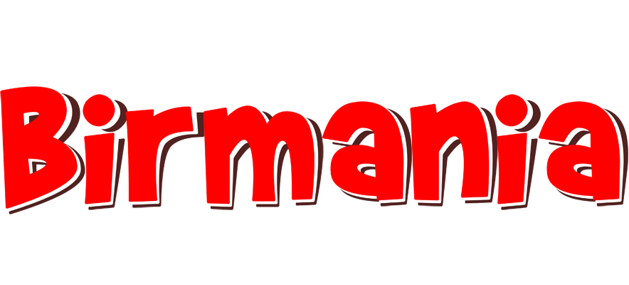 Birmania basket logo