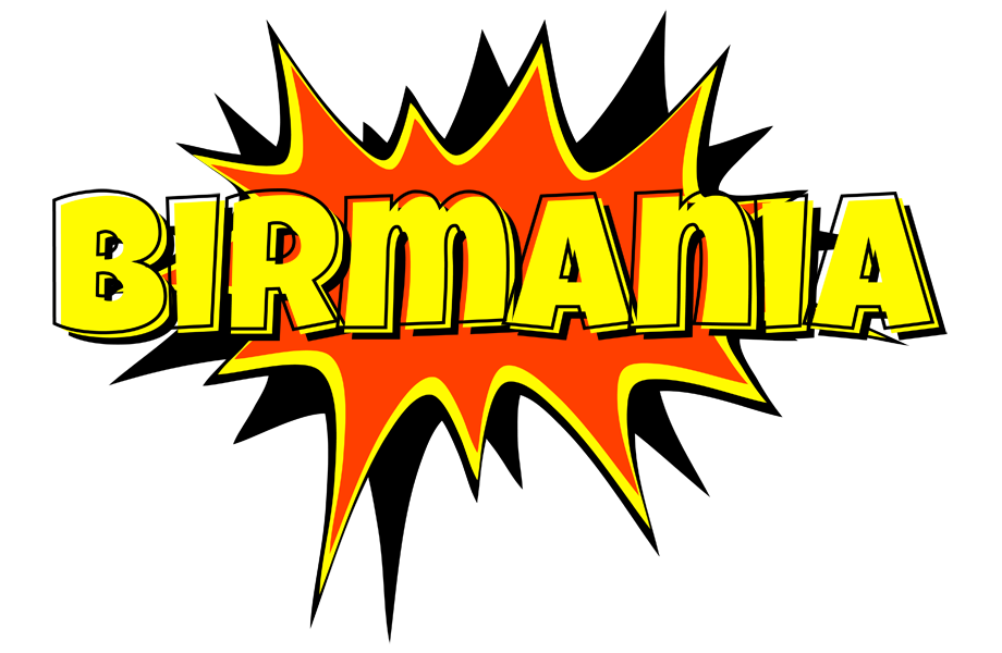 Birmania bazinga logo
