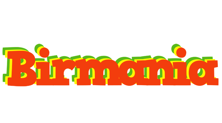 Birmania bbq logo
