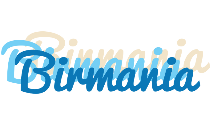 Birmania breeze logo