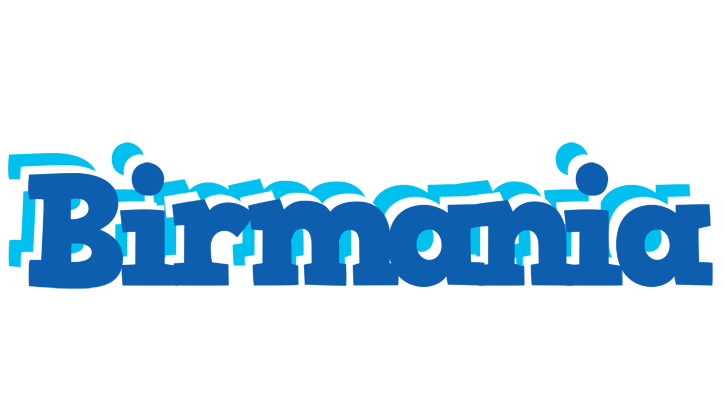 Birmania business logo