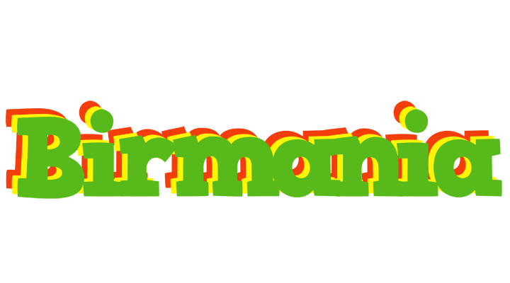 Birmania crocodile logo