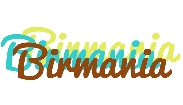 Birmania cupcake logo