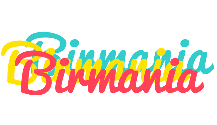 Birmania disco logo