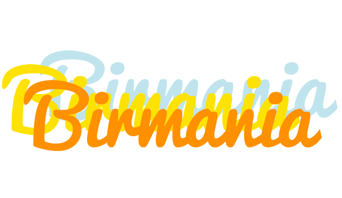 Birmania energy logo