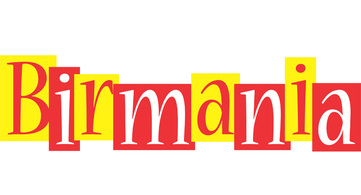 Birmania errors logo