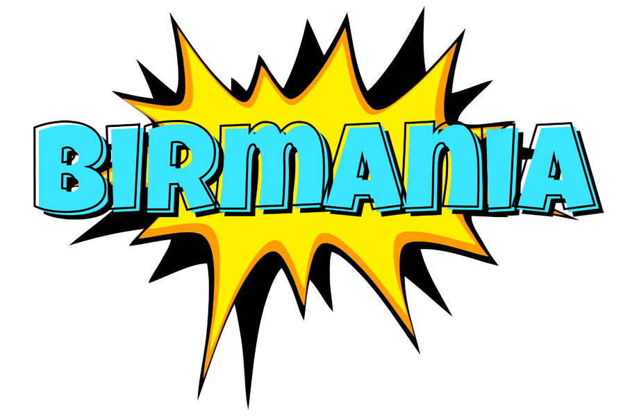 Birmania indycar logo