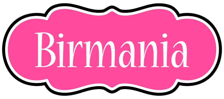 Birmania invitation logo