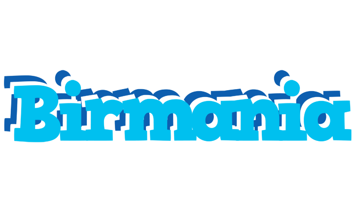 Birmania jacuzzi logo