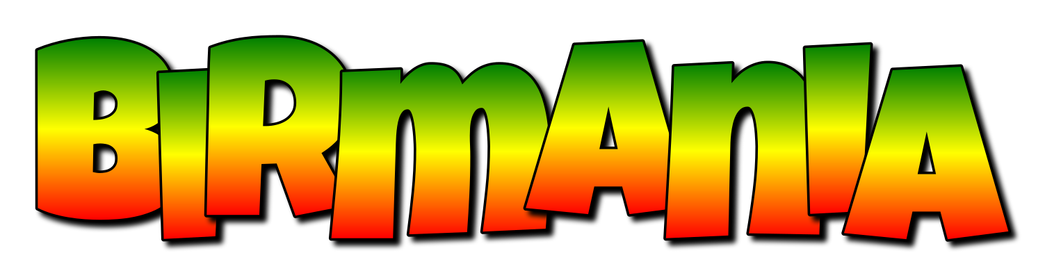 Birmania mango logo