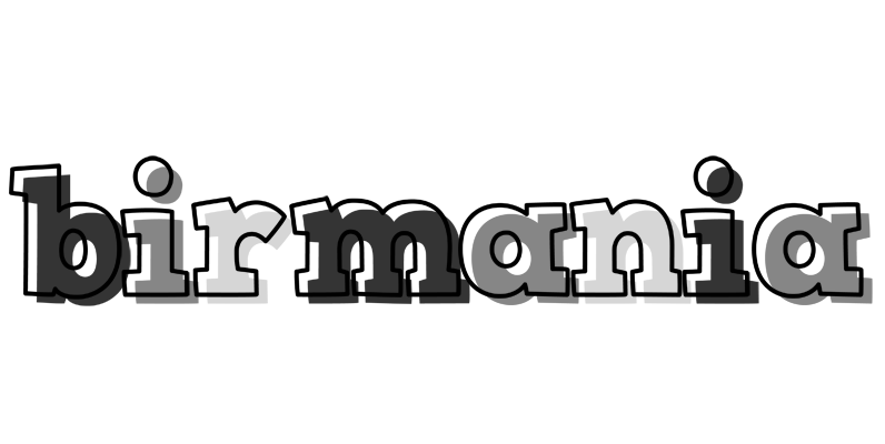 Birmania night logo