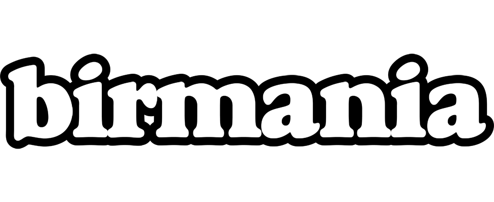 Birmania panda logo