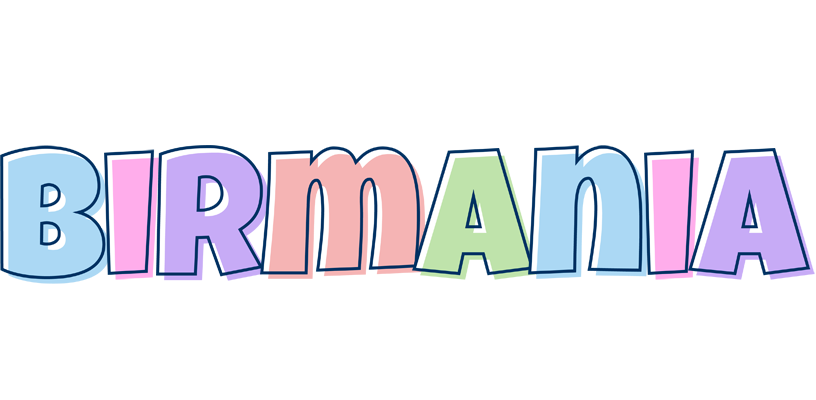 Birmania pastel logo