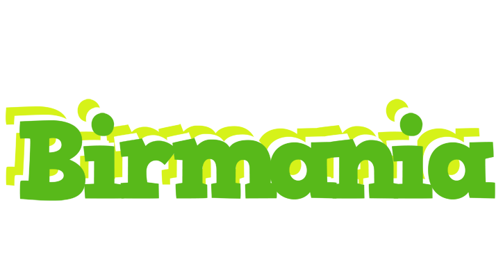 Birmania picnic logo
