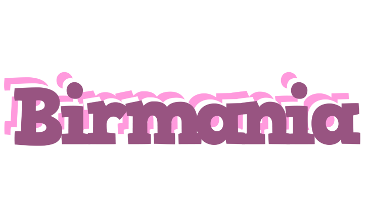 Birmania relaxing logo