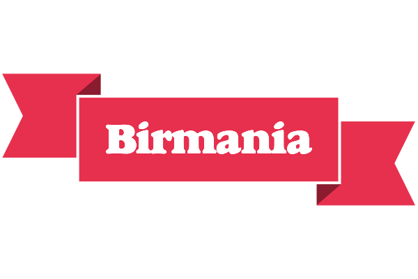 Birmania sale logo