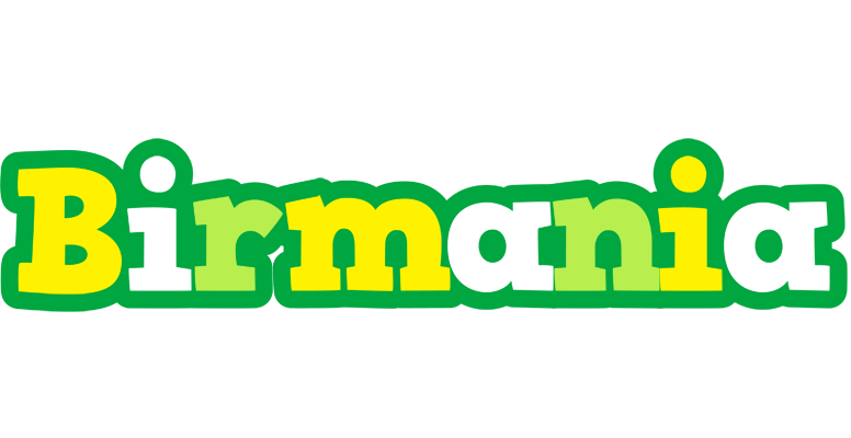 Birmania soccer logo