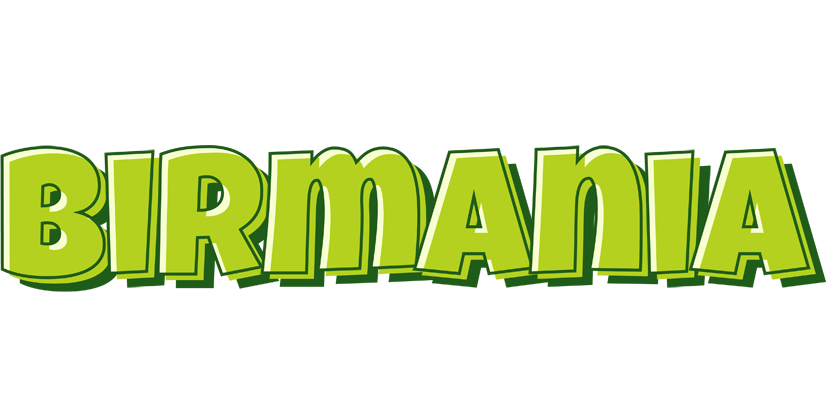 Birmania summer logo