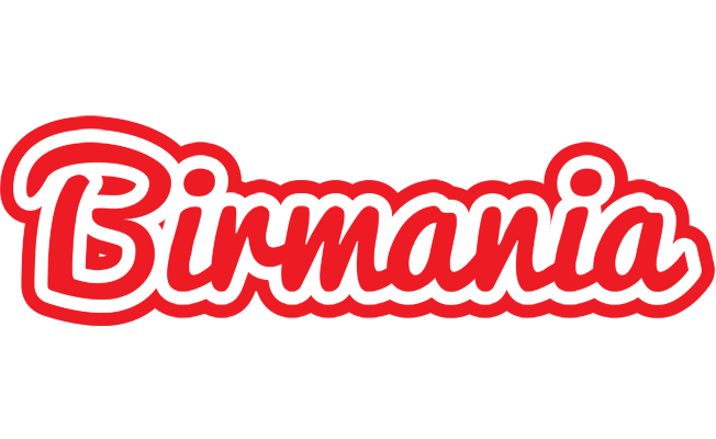 Birmania sunshine logo