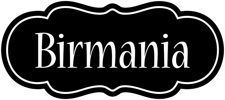 Birmania welcome logo