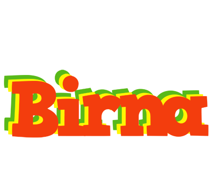 Birna bbq logo
