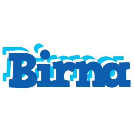 Birna business logo