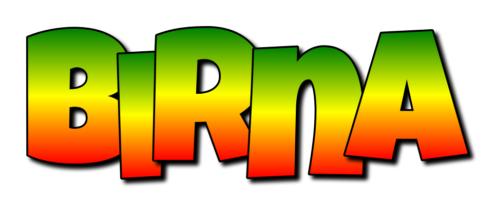 Birna mango logo
