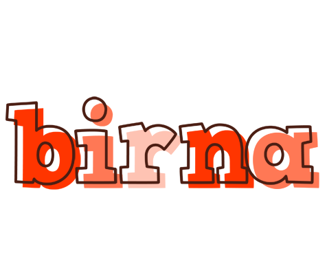 Birna paint logo
