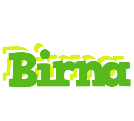 Birna picnic logo