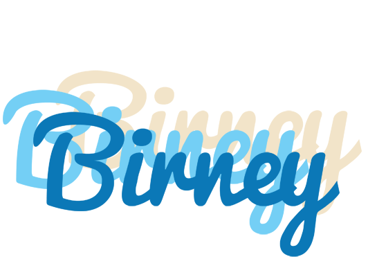 Birney breeze logo