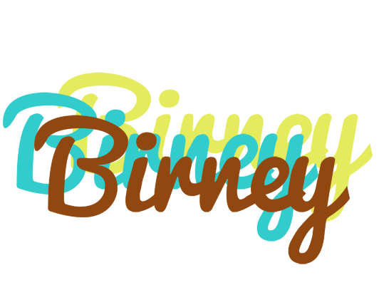 Birney cupcake logo