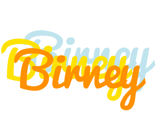 Birney energy logo