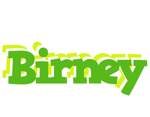 Birney picnic logo