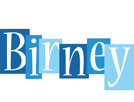 Birney winter logo