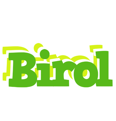 Birol picnic logo