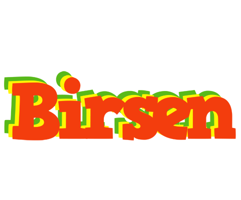 Birsen bbq logo