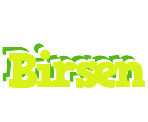 Birsen citrus logo