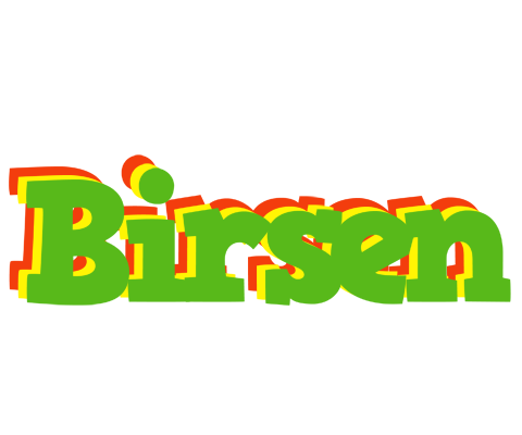 Birsen crocodile logo