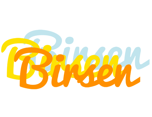 Birsen energy logo