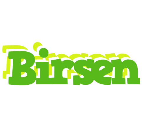 Birsen picnic logo
