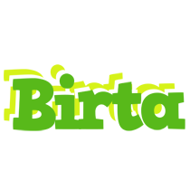 Birta picnic logo