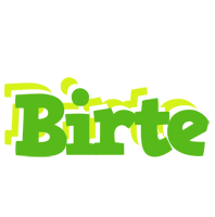 Birte picnic logo