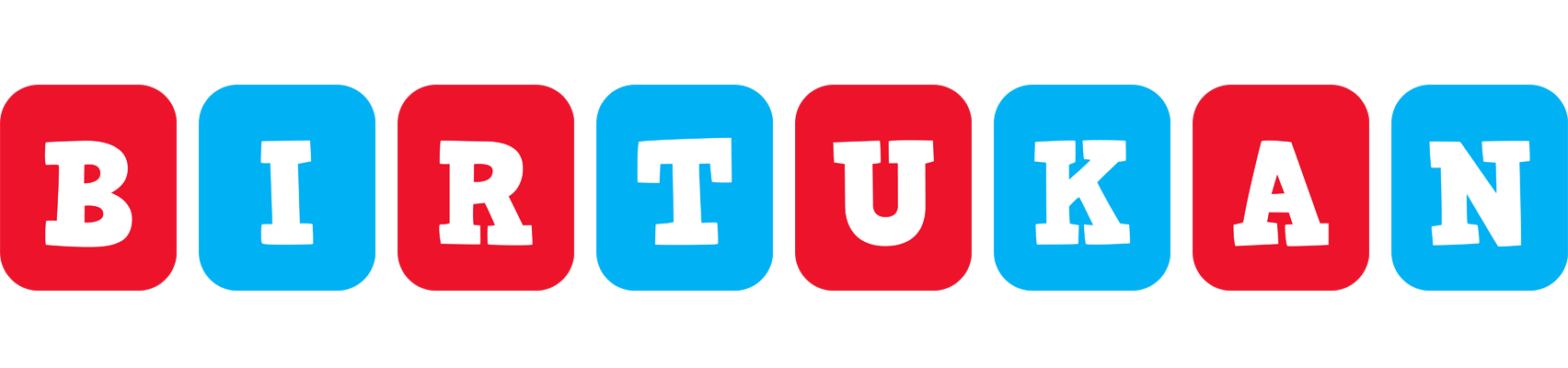 Birtukan diesel logo